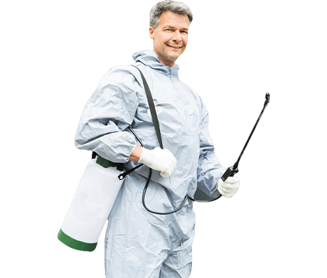 best pest control services in Falman, TX