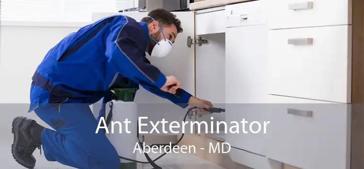 Ant Exterminator Aberdeen - MD