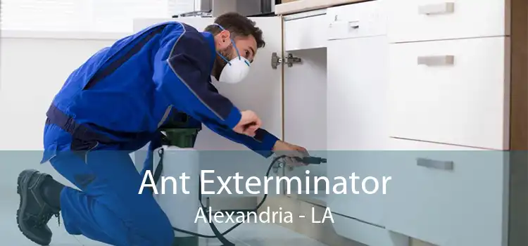Ant Exterminator Alexandria - LA