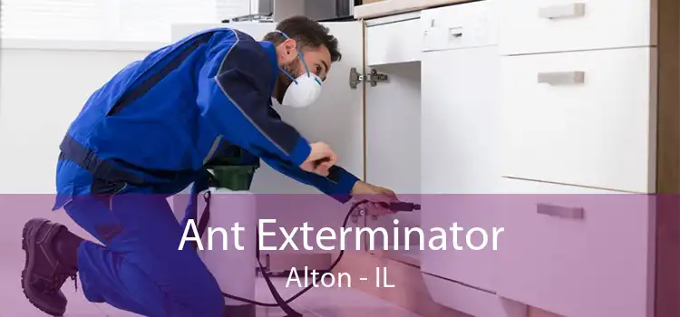 Ant Exterminator Alton - IL
