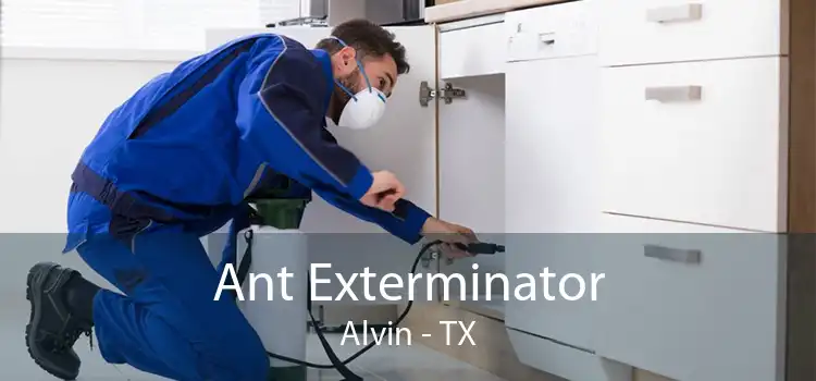 Ant Exterminator Alvin - TX