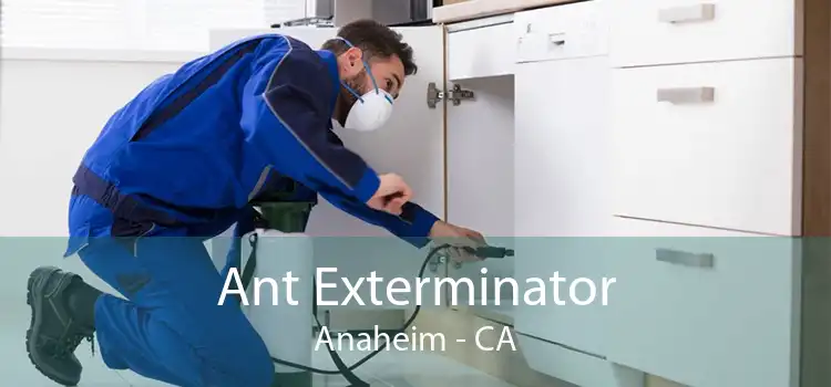 Ant Exterminator Anaheim - CA