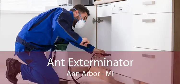 Ant Exterminator Ann Arbor - MI