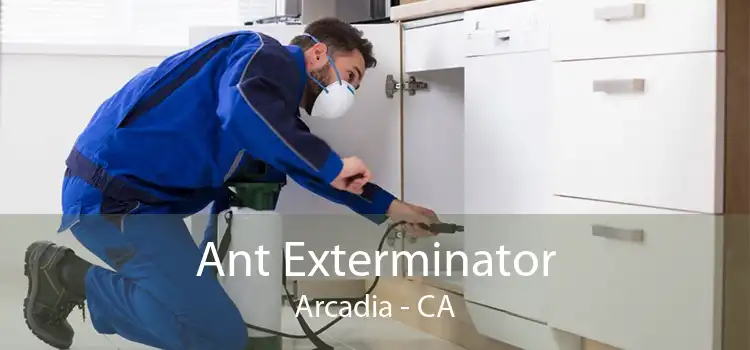 Ant Exterminator Arcadia - CA