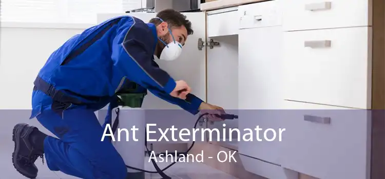 Ant Exterminator Ashland - OK