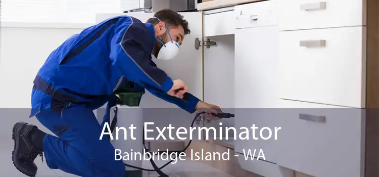 Ant Exterminator Bainbridge Island - WA