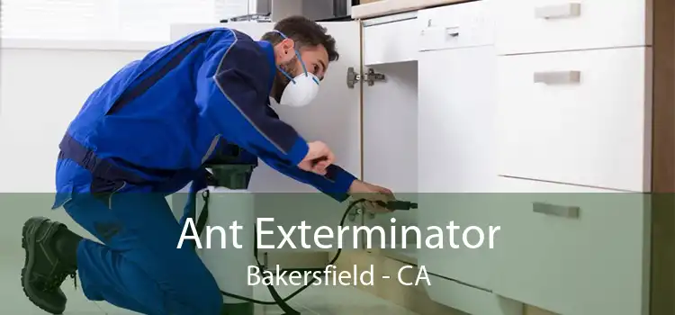 Ant Exterminator Bakersfield - CA