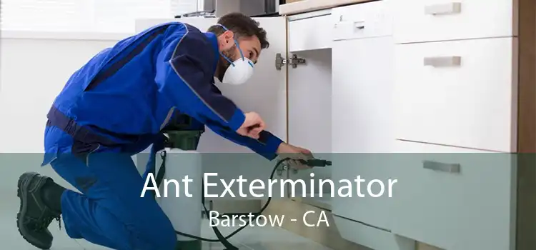 Ant Exterminator Barstow - CA
