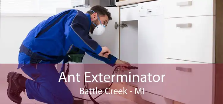 Ant Exterminator Battle Creek - MI