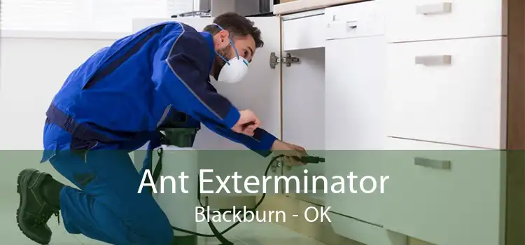 Ant Exterminator Blackburn - OK