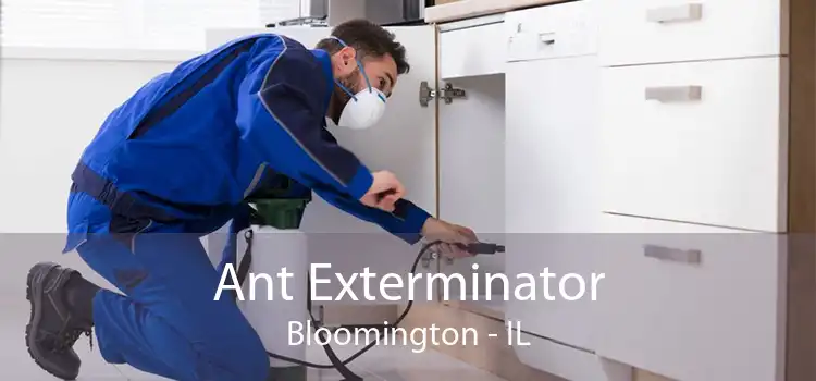 Ant Exterminator Bloomington - IL