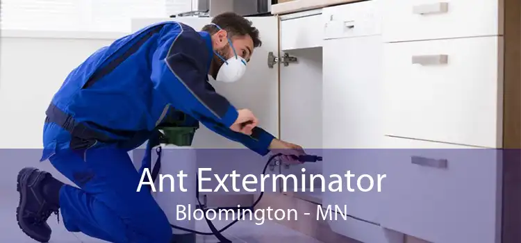 Ant Exterminator Bloomington - MN