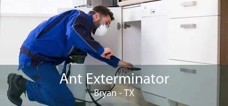 Ant Exterminator Bryan - TX