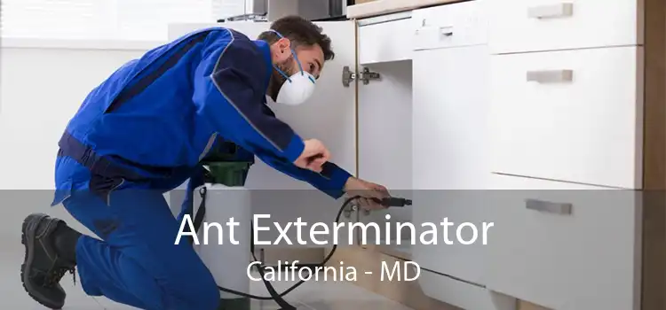 Ant Exterminator California - MD