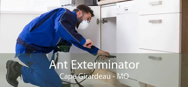 Ant Exterminator Cape Girardeau - MO