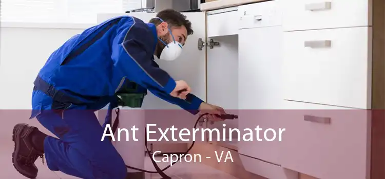 Ant Exterminator Capron - VA