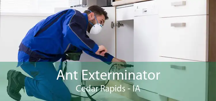 Ant Exterminator Cedar Rapids - IA