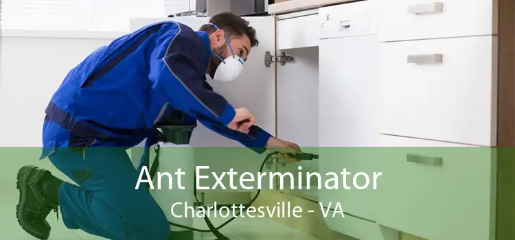 Ant Exterminator Charlottesville - VA