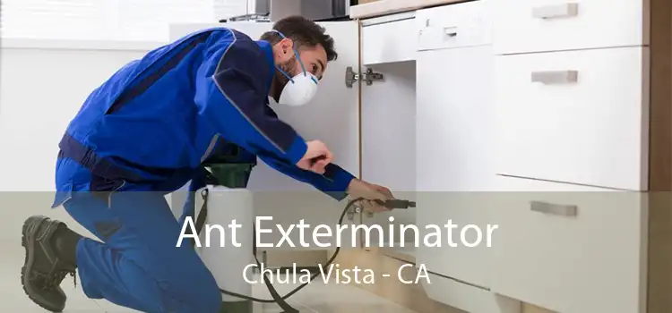 Ant Exterminator Chula Vista - CA
