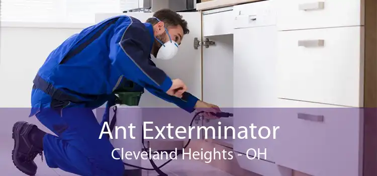 Ant Exterminator Cleveland Heights - OH