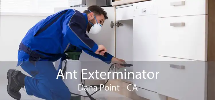Ant Exterminator Dana Point - CA
