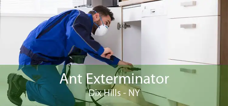 Ant Exterminator Dix Hills - NY