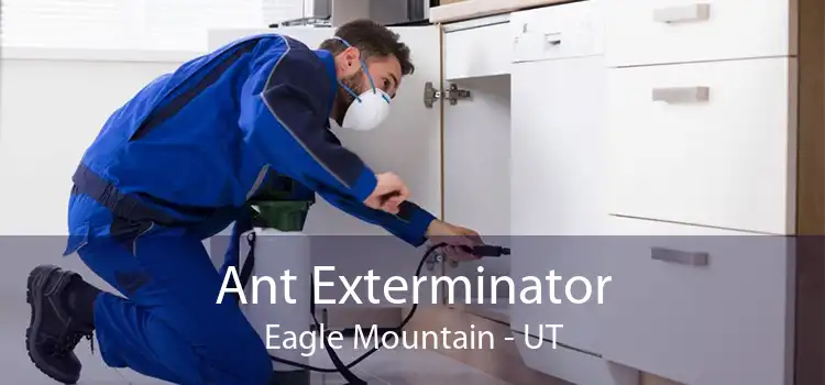 Ant Exterminator Eagle Mountain - UT