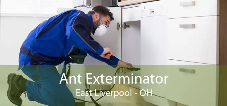 Ant Exterminator East Liverpool - OH