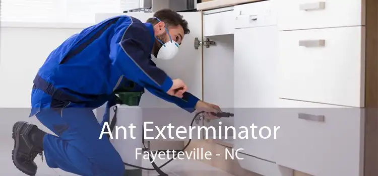 Ant Exterminator Fayetteville - NC