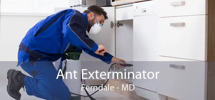 Ant Exterminator Ferndale - MD