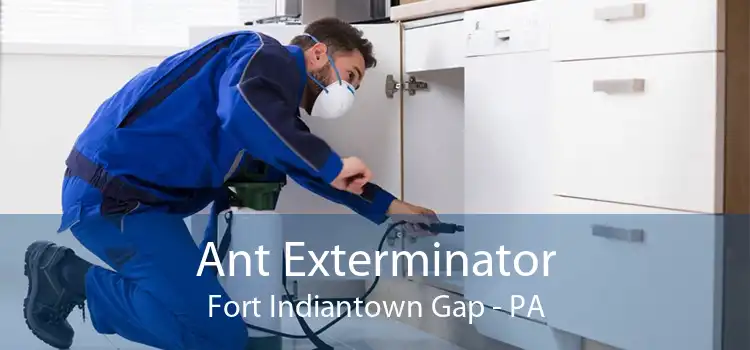 Ant Exterminator Fort Indiantown Gap - PA