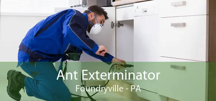 Ant Exterminator Foundryville - PA