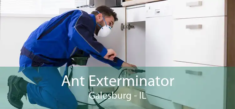 Ant Exterminator Galesburg - IL