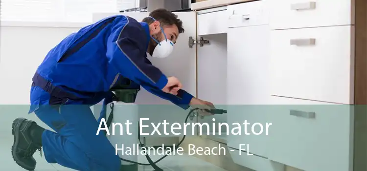 Ant Exterminator Hallandale Beach - FL