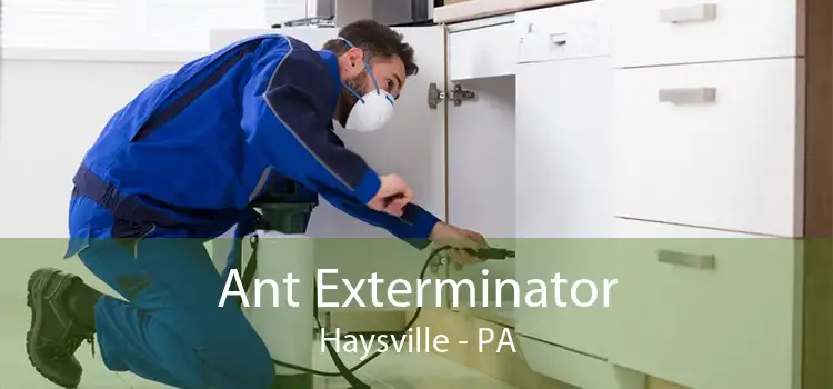 Ant Exterminator Haysville - PA