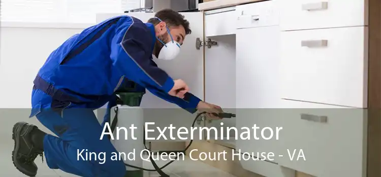 Ant Exterminator King and Queen Court House - VA