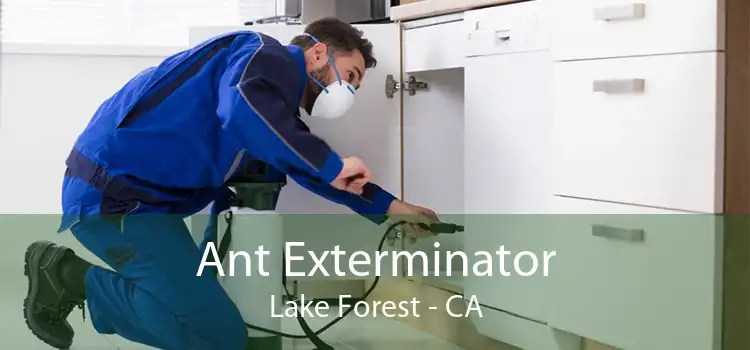 Ant Exterminator Lake Forest - CA