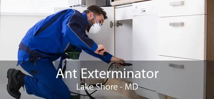 Ant Exterminator Lake Shore - MD