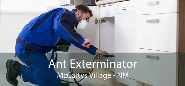Ant Exterminator McCartys Village - NM