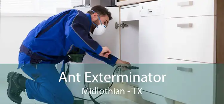 Ant Exterminator Midlothian - TX