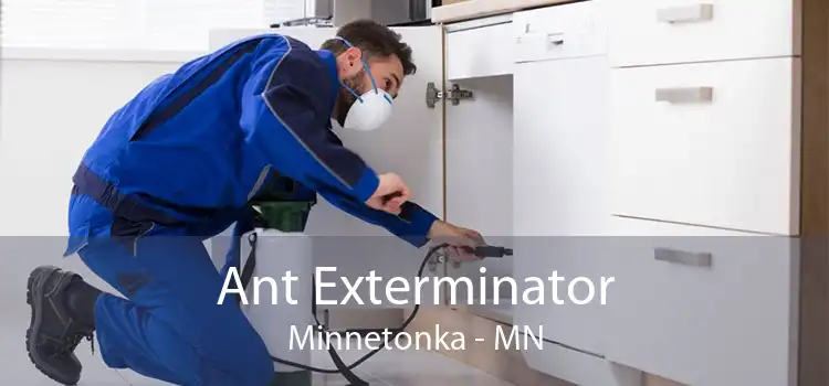 Ant Exterminator Minnetonka - MN