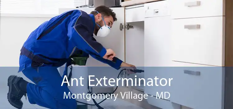 Ant Exterminator Montgomery Village - MD