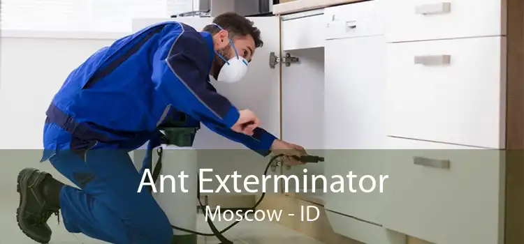 Ant Exterminator Moscow - ID