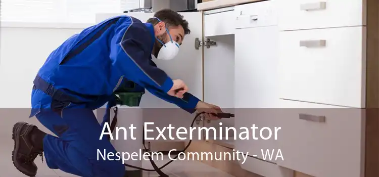 Ant Exterminator Nespelem Community - WA