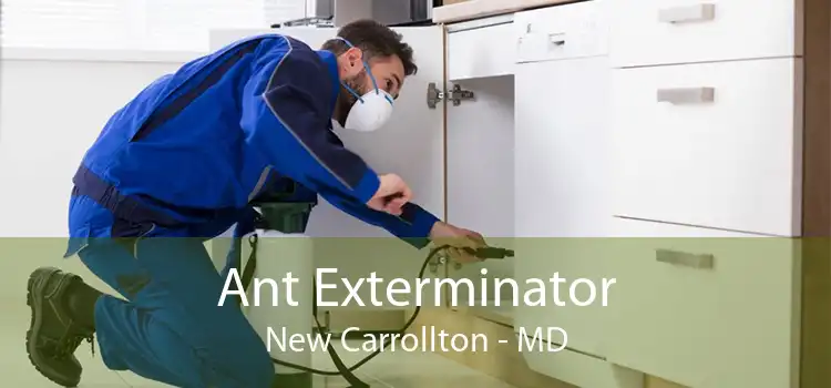 Ant Exterminator New Carrollton - MD