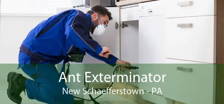 Ant Exterminator New Schaefferstown - PA