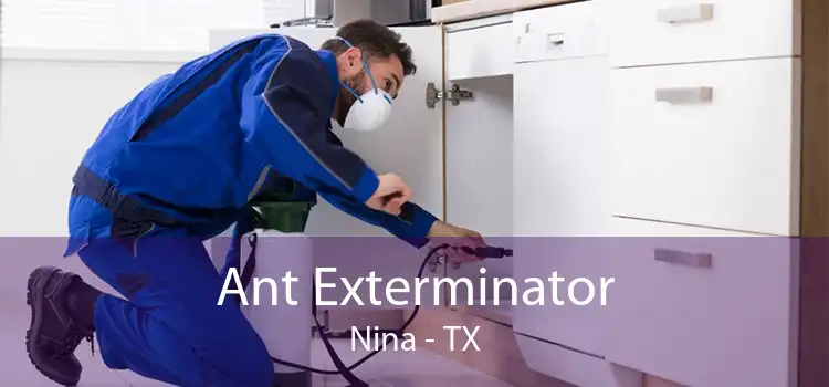 Ant Exterminator Nina - TX