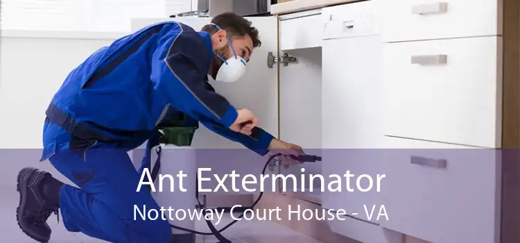 Ant Exterminator Nottoway Court House - VA