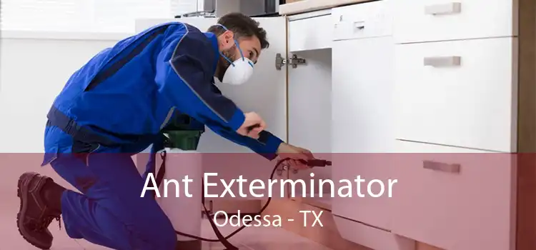 Ant Exterminator Odessa - TX