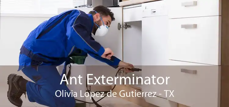 Ant Exterminator Olivia Lopez de Gutierrez - TX